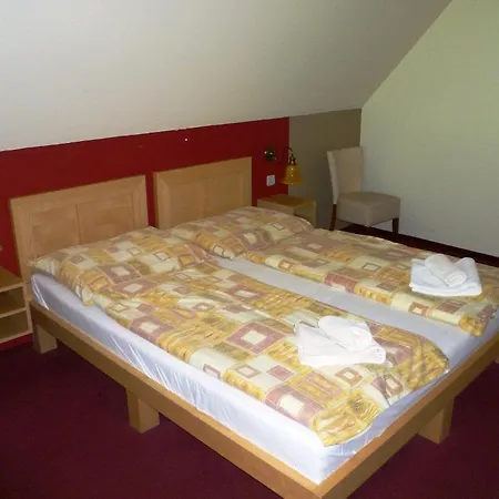 Hotel Alpina 3*